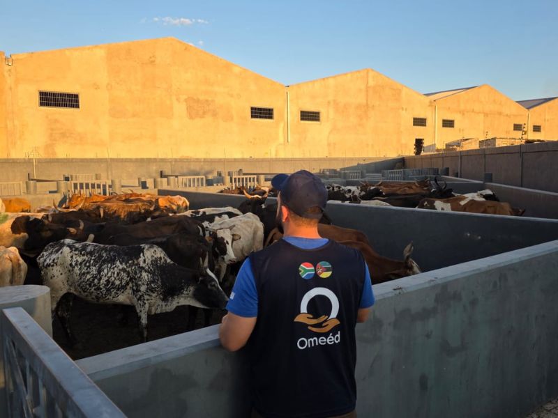 Qurbani 2026-Omeed Global 10